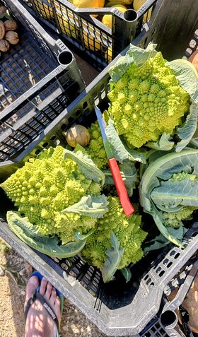 Najładniejsze zdjęcie użytkownika Wilkzzalasu - 