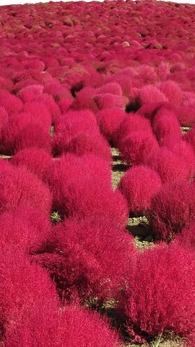 Najładniejsze zdjęcie użytkownika pm200719871987 - 