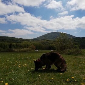 Najładniejsze zdjęcie użytkownika Bartek1bartolini - 