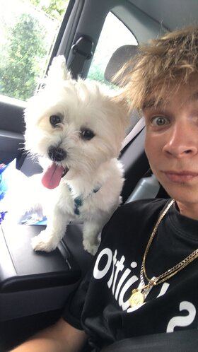 Najładniejsze zdjęcie użytkownika yxqm4rcv5 - 