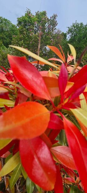 Najładniejsze zdjęcie użytkownika maaawa79 - 