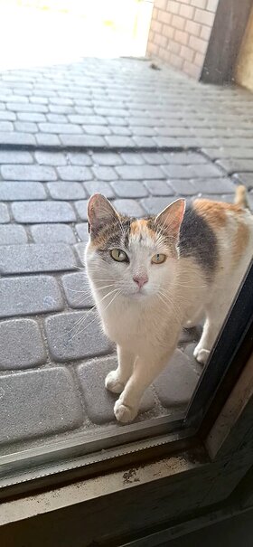 Najładniejsze zdjęcie użytkownika robertbx100 - 