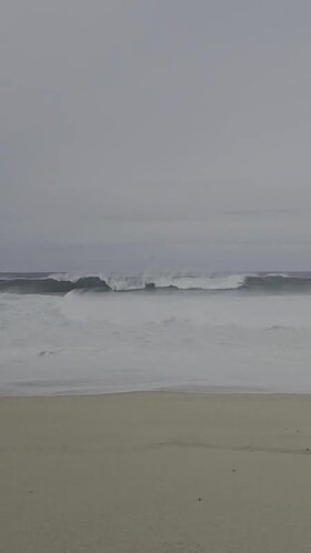 Najładniejsze zdjęcie użytkownika dzikielf - 
