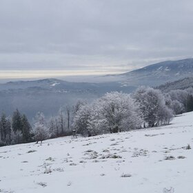 Najładniejsze zdjęcie użytkownika Szymon050190 - 