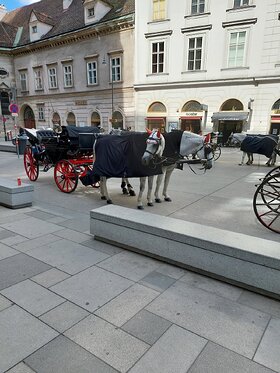 Najładniejsze zdjęcie użytkownika Romanq32 - 