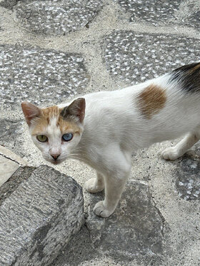 Najładniejsze zdjęcie użytkownika Aleksandra0501 - Zrzut ekranu 2026-02-22 140922