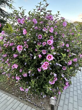 Najładniejsze zdjęcie użytkownika K1rzysztof - 