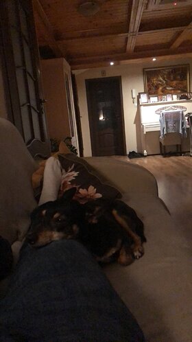 Najładniejsze zdjęcie użytkownika Motosport97 - 