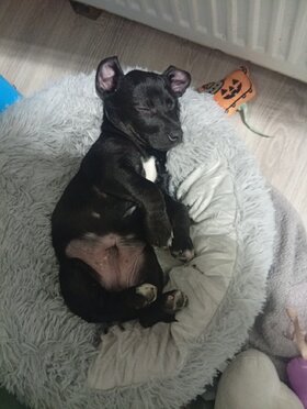 Najładniejsze zdjęcie użytkownika AlicjaMierzwa - 