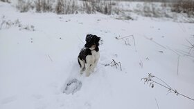 Najładniejsze zdjęcie użytkownika miroslawrarata598 - 