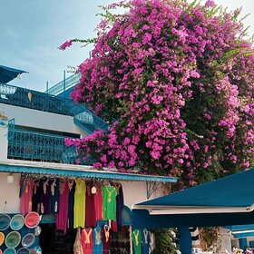 Najładniejsze zdjęcie użytkownika BadiC