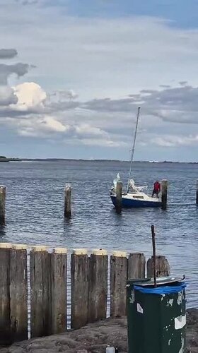 Najładniejsze zdjęcie użytkownika alohnet - 