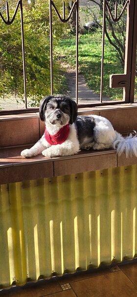 Najładniejsze zdjęcie użytkownika wesolek7819 - 