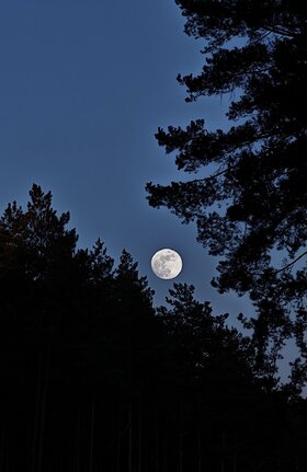 Najładniejsze zdjęcie użytkownika LenaG13 - 