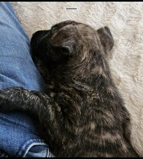 Najładniejsze zdjęcie użytkownika Dariusz1312 - 