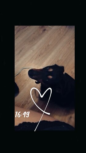 Najładniejsze zdjęcie użytkownika Kawka321 - 