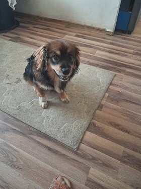 Fotos mozeja2001 (Mujer), Starachowice