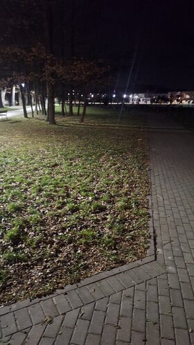 Najładniejsze zdjęcie użytkownika ostrowskioskar983 - 