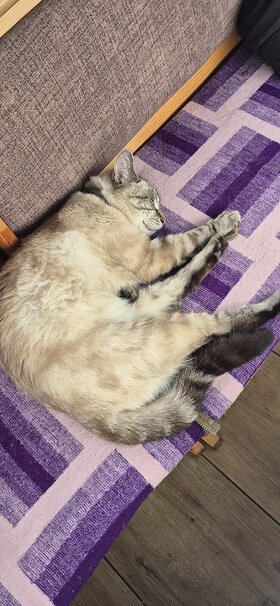 Najładniejsze zdjęcie użytkownika CzarownicaIzabela - 