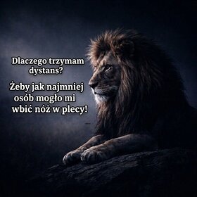 Najładniejsze zdjęcie użytkownika CukierkowyRaj - 