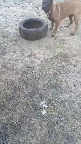 Najładniejsze zdjęcie użytkownika Liszatynski - 