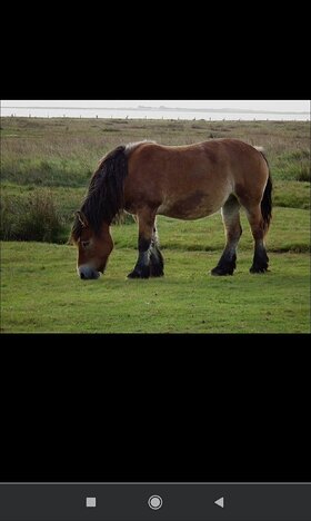Najładniejsze zdjęcie użytkownika brunetka1202 - 