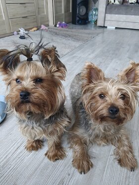 Najładniejsze zdjęcie użytkownika aniax1x