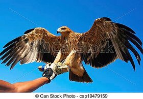 Najładniejsze zdjęcie użytkownika wwwczarny123483 - 