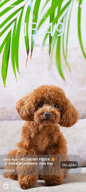 Najładniejsze zdjęcie użytkownika RyszardDziura - 