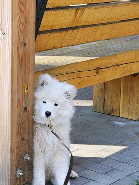 Najładniejsze zdjęcie użytkownika Davv1d - 
