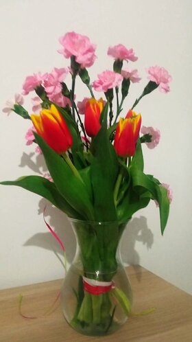 Najładniejsze zdjęcie użytkownika elzbietazylka72 - 