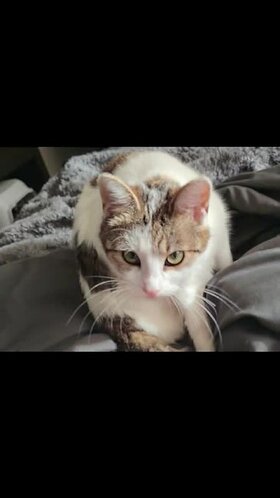 Najładniejsze zdjęcie użytkownika MichalOrzech2005 - 