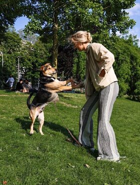 Najładniejsze zdjęcie użytkownika rabidouxmytych434