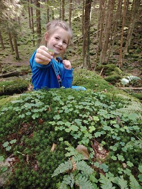 Najładniejsze zdjęcie użytkownika jurekjureczek - 