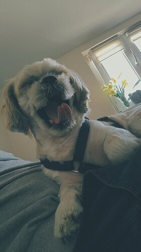 Najładniejsze zdjęcie użytkownika xslangx11 - 