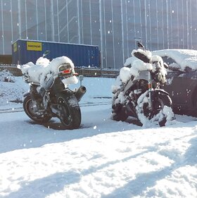 Najładniejsze zdjęcie użytkownika tosienarobilo - 