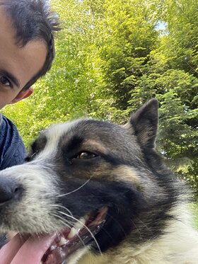 Najładniejsze zdjęcie użytkownika Arsen30 - 