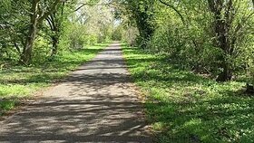 Najładniejsze zdjęcie użytkownika Tomek9999 - 