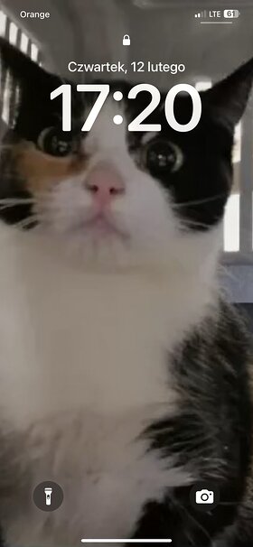 Najładniejsze zdjęcie użytkownika Dana1955 - 