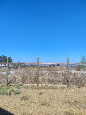 Najładniejsze zdjęcie użytkownika ramoncv1026