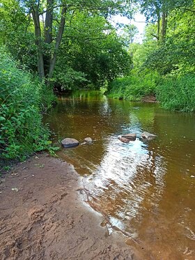 Najładniejsze zdjęcie użytkownika Retizx381 - 