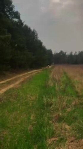 Najładniejsze zdjęcie użytkownika PlKomandos - 