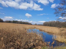 Najładniejsze zdjęcie użytkownika KamianM - 