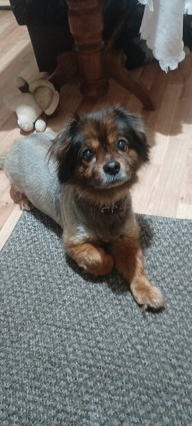 Najładniejsze zdjęcie użytkownika Ryszard05 - 