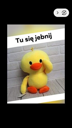 Najładniejsze zdjęcie użytkownika zolnierz1317 - 