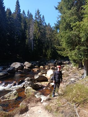 Najładniejsze zdjęcie użytkownika Kefir21 - 