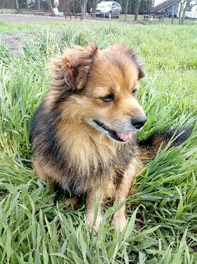 Najładniejsze zdjęcie użytkownika Beti87