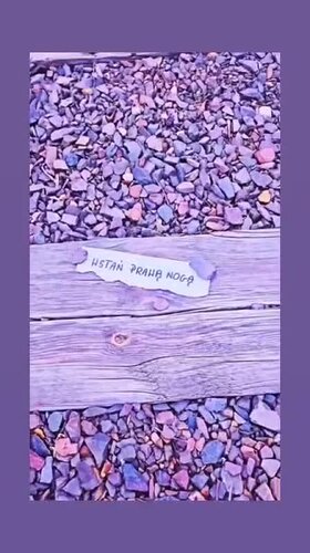 Najładniejsze zdjęcie użytkownika anielaraczkowska83