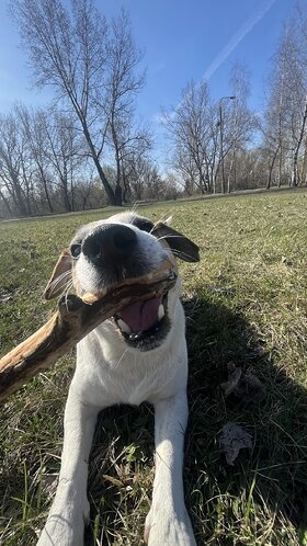 Najładniejsze zdjęcie użytkownika kamiladomanska - 