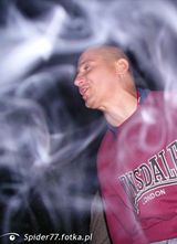 Fotos Spider77